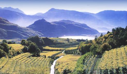 Seeblick von Barleit